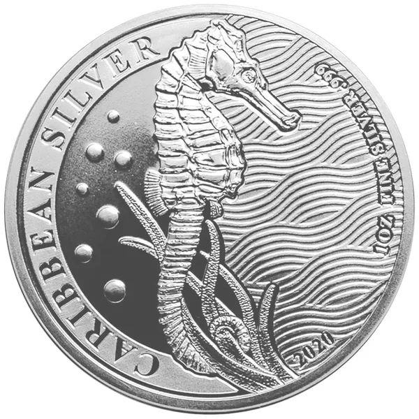 1 $ Ippocampo 2020