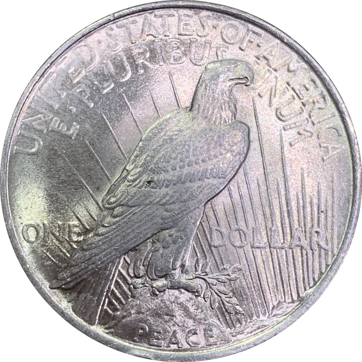 1 $ Peace 1924, foto 2