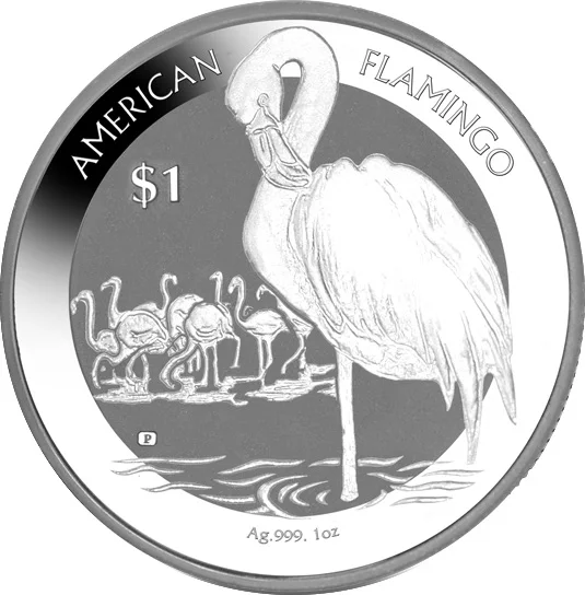 1 $ Fenicottero Americano 2021