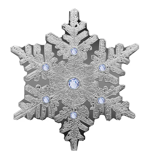 1 $ Fiocco di neve 2022