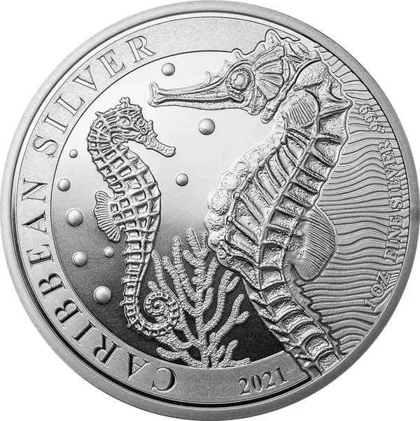 1 $ Ippocampo 2021