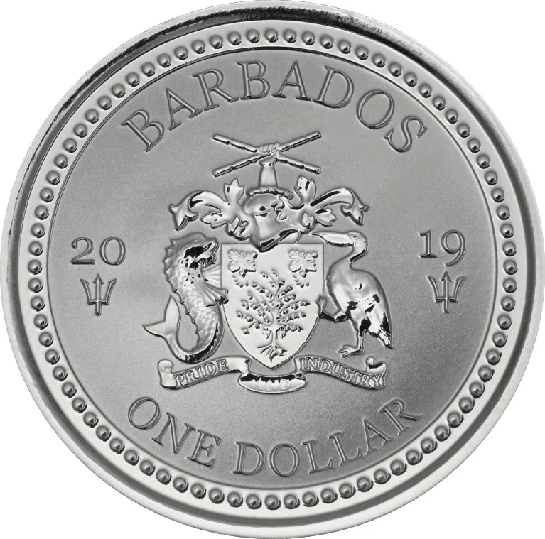 1 $ Pesce volante 2019, foto 2
