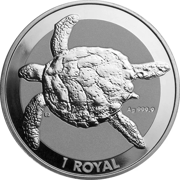 1 Royal Tartaruga 2020