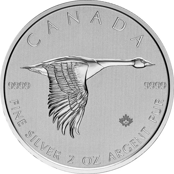 10 $ Oca selvatica 2020