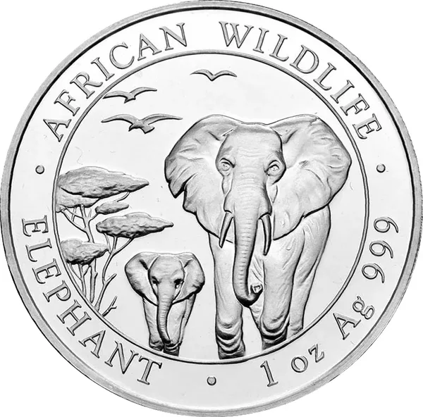 100 Shilling Elefante 2015