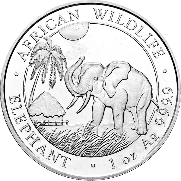 100 Shilling Elefante 2017