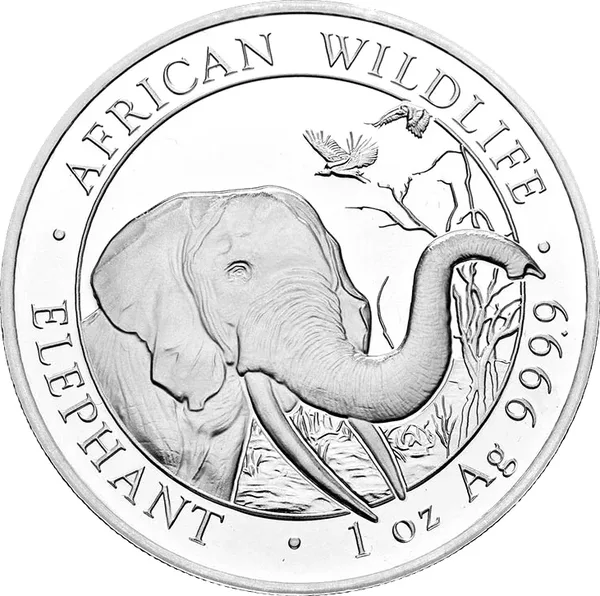 100 Shilling Elefante 2018