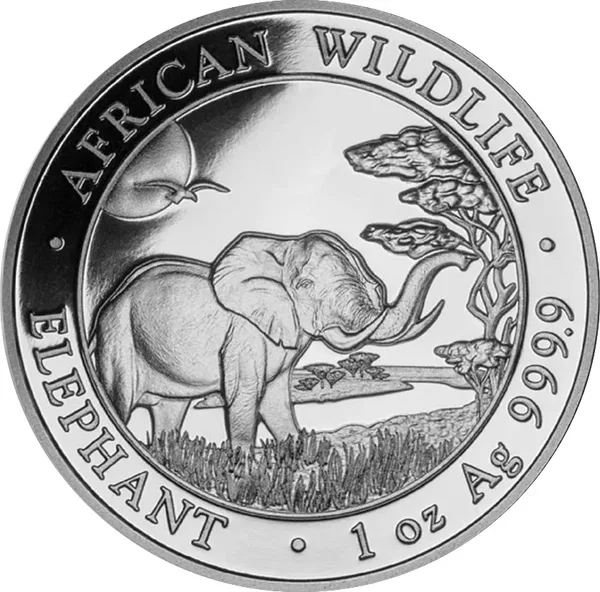 100 Shilling Elefante 2019