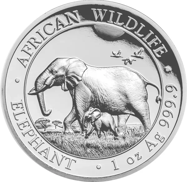 100 Shilling Elefante 2022