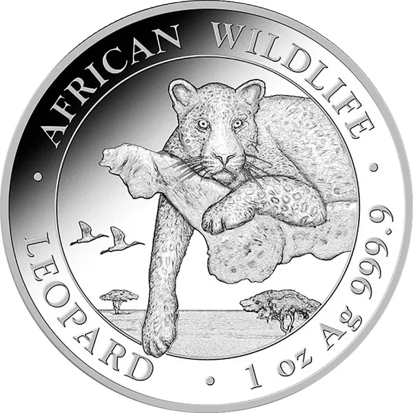 100 Shilling Leopardo 2020