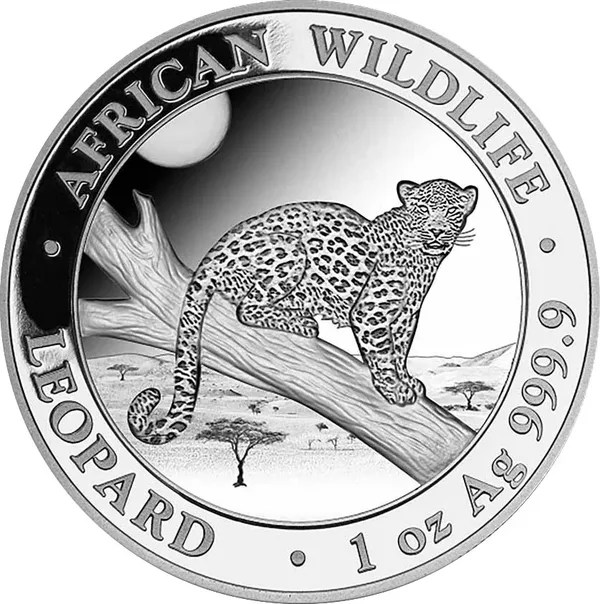 100 Shilling Leopardo 2021
