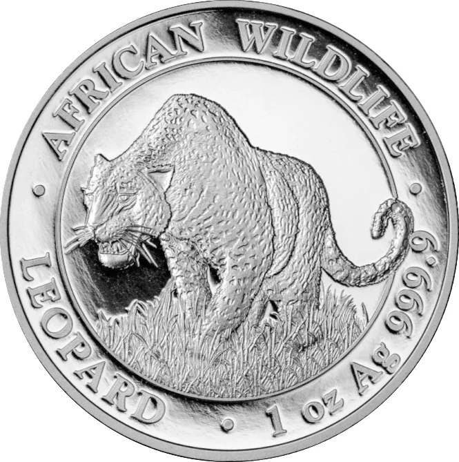 100 Shilling Leopardo 2023