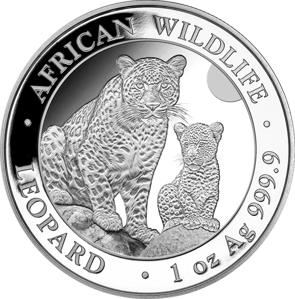 100 Shilling Leopardo 2024