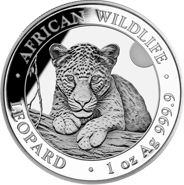 100 Shilling Leopardo 2025