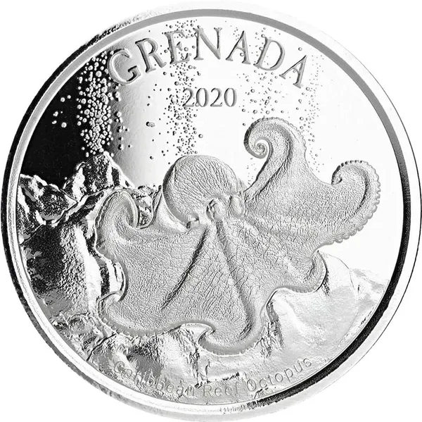 2 $ Octopus 2020