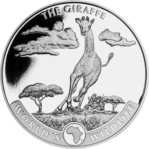 20 Franchi Giraffa 2019