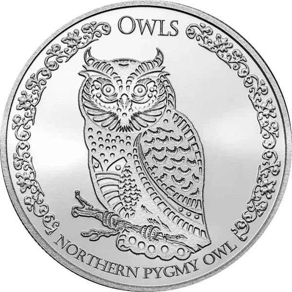5 $ Northern Pygmy Owl 2021