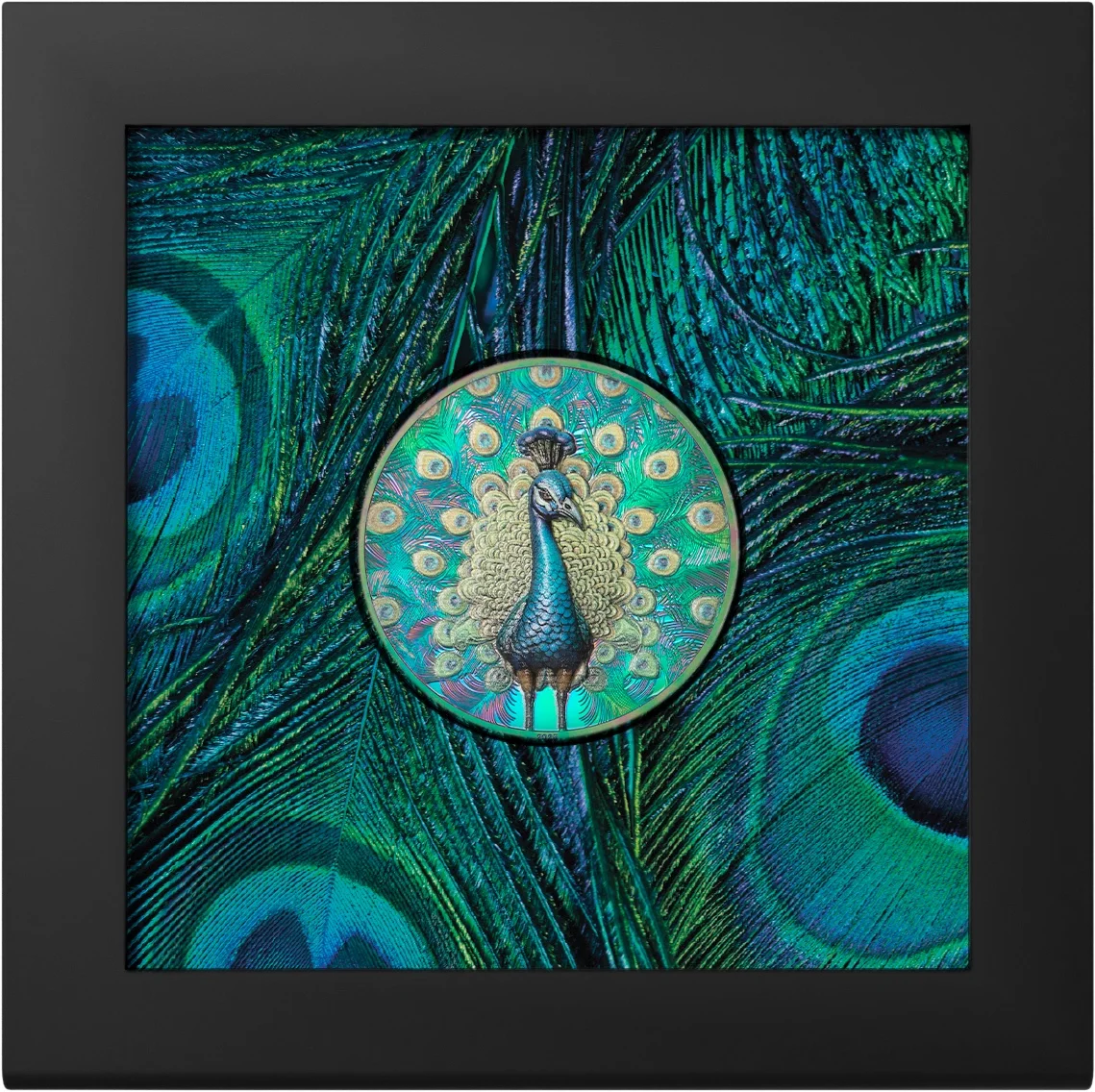 5 $ Spectrum Peacock 2025, foto 2