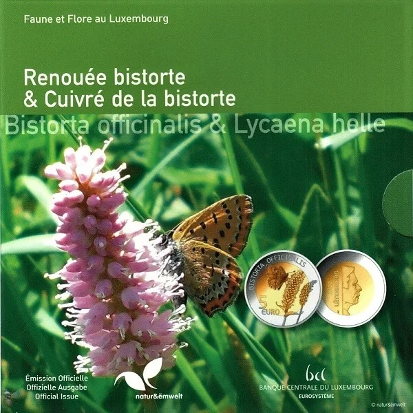 5 € Persicaria bistorta 2020, foto 2