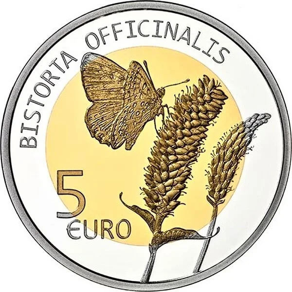 5 € Persicaria bistorta 2020