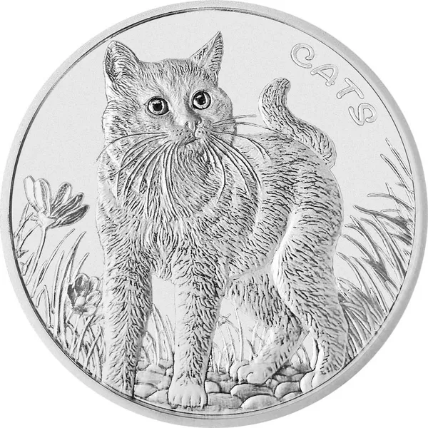 50 Cent Cats 2021
